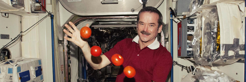 Chris Hadfield (1959)